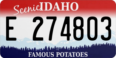 ID license plate E274803