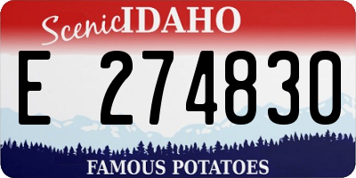 ID license plate E274830