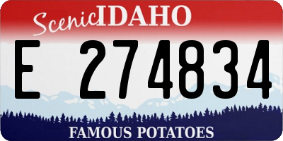 ID license plate E274834