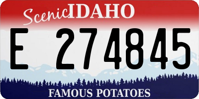 ID license plate E274845