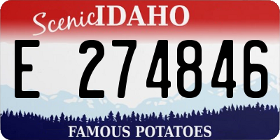 ID license plate E274846