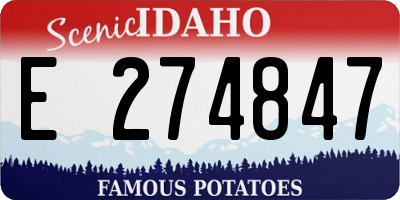 ID license plate E274847