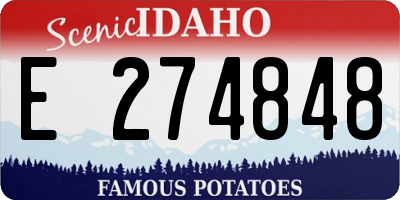 ID license plate E274848