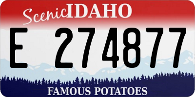 ID license plate E274877