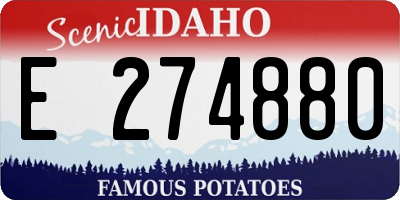 ID license plate E274880