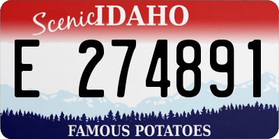 ID license plate E274891