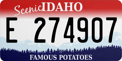 ID license plate E274907