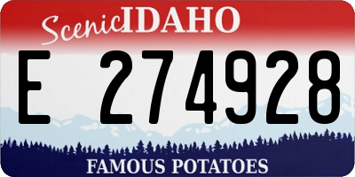 ID license plate E274928