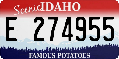 ID license plate E274955