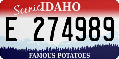 ID license plate E274989