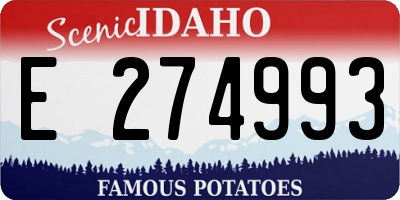 ID license plate E274993