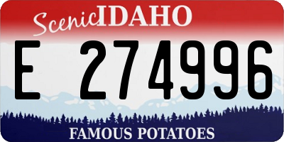 ID license plate E274996