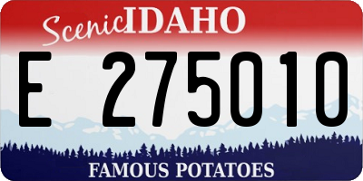 ID license plate E275010