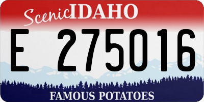 ID license plate E275016