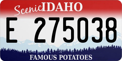 ID license plate E275038