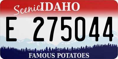 ID license plate E275044
