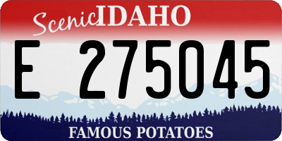 ID license plate E275045