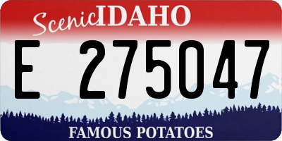 ID license plate E275047