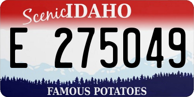 ID license plate E275049