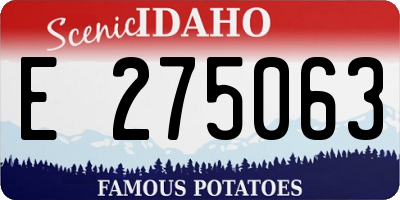 ID license plate E275063