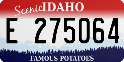 ID license plate E275064