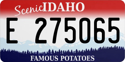 ID license plate E275065
