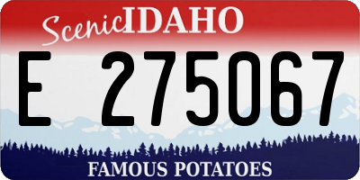 ID license plate E275067