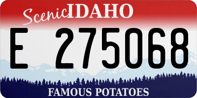 ID license plate E275068