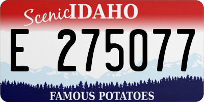 ID license plate E275077