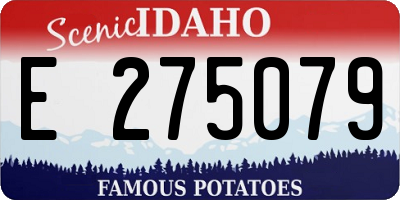 ID license plate E275079