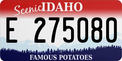 ID license plate E275080