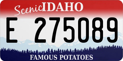 ID license plate E275089