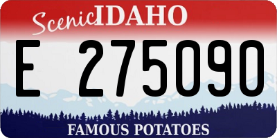 ID license plate E275090