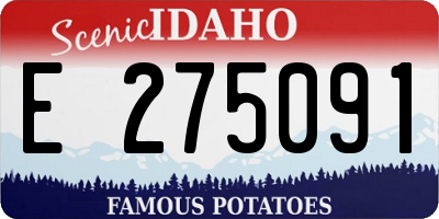 ID license plate E275091