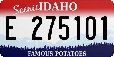 ID license plate E275101