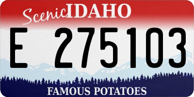 ID license plate E275103