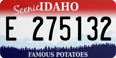 ID license plate E275132