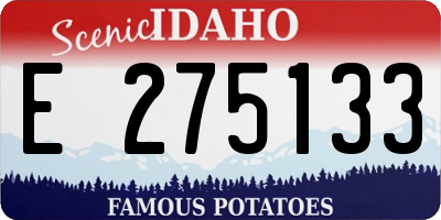 ID license plate E275133