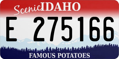 ID license plate E275166