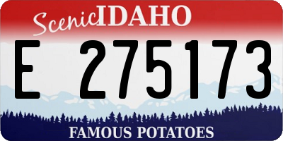 ID license plate E275173