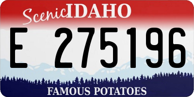 ID license plate E275196