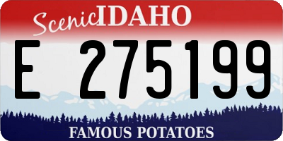ID license plate E275199