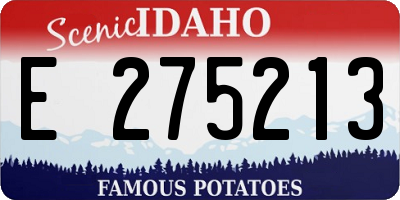 ID license plate E275213