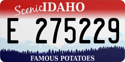 ID license plate E275229