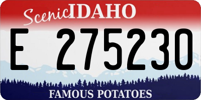 ID license plate E275230