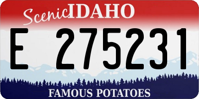 ID license plate E275231