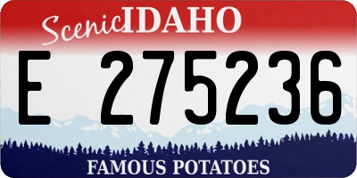 ID license plate E275236
