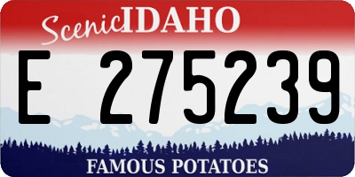 ID license plate E275239