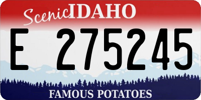 ID license plate E275245