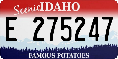 ID license plate E275247